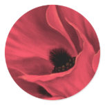 Red Poppies Flower Art Painting - Multi stickers