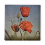 Red Poppies, magnet