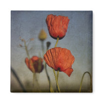 Red Poppies, magnet