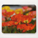 Red Poppies Mousepad