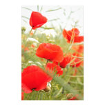 Red poppies pretty meadow custom stationery