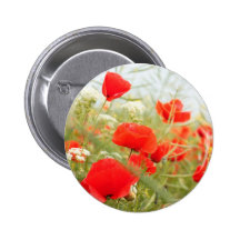 Red poppies pretty meadow pinback button