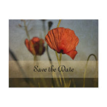 Red Poppies, Save the Date postcards