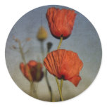Red Poppies,sticer Sticker