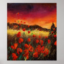 Red poppies sunset 76 posters