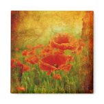 Red poppies vintage