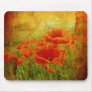 Red poppies vintage