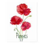 Red Poppies - Watercolor Post Cards