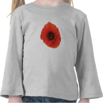 Red Poppy
