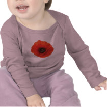 Red Poppy