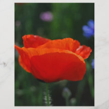 Red poppy and meaning personalised flyer
