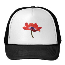 Red Poppy Closeup Trucker Hats