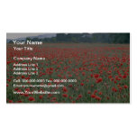 Red Poppy field, Kent, England flowers Business Cards