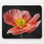 Red poppy flower and meaning mousepads