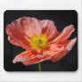 Red poppy flower and meaning mousepads
