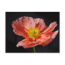 Red poppy flower and meaning postcard