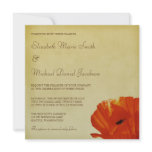 Red Poppy Flower Blossom Wedding