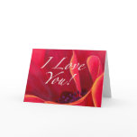 Red Poppy Flower Love Greetings cards