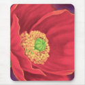 Red Poppy Flower Painting Art - Multi mousepads