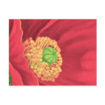 Red Poppy Flower Painting Art - Multi postcards