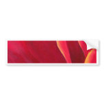 Red Poppy Flower Painting - Multi bumper stickers