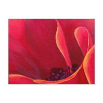 Red Poppy Flower Painting - Multi