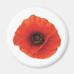 Red Poppy Fridge Magnets