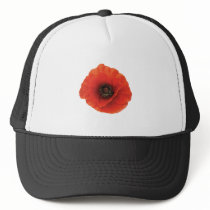 Red Poppy