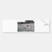red poppy in a black and white field bumper stickers