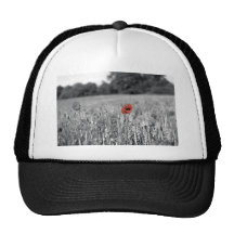 red poppy in a black and white field mesh hats