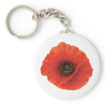 Red Poppy