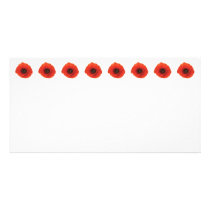 Red Poppy