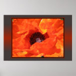 Red Poppy posters