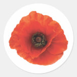 Red Poppy Round Sticker