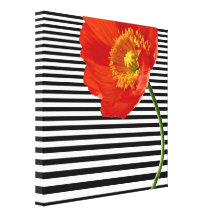 Red Poppy Simplicity Gallery Wrapped Canvas