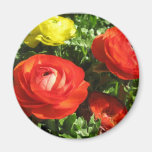 Red Ranunculus Flower Refrigerator Magnet