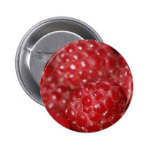 Red Raspberries close up photograph Buttons