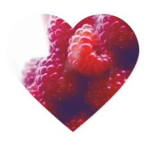 Red Raspberries Photo