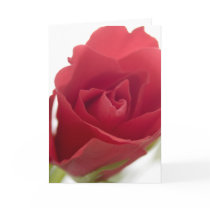 Red, red rose ... card