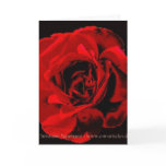 red, red rose cards