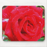 Red, Red Rose Mouse Pads