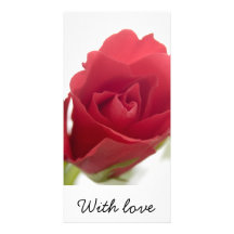 Red, red rose ... photo card