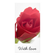 Red, red rose ... photo card photo cards