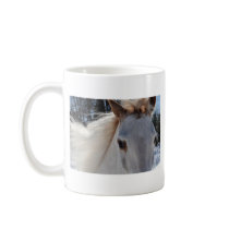 Red Roan Horse Eyes Mugs