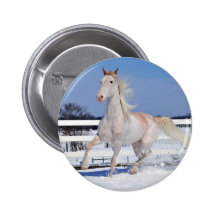 Red Roan in Snow Pinback Buttons