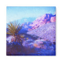 Red Rock Canyon magnets