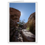 Red Rock NV #4 cards