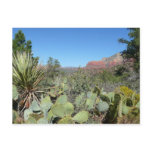 Red Rocks and Cacti Sedona Postcard