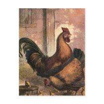 Red Rooster, Brown Hen and Baby Chicks on Straw
