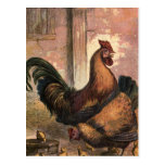 Red Rooster, Brown Hen and Baby Chicks on Straw Post Cards